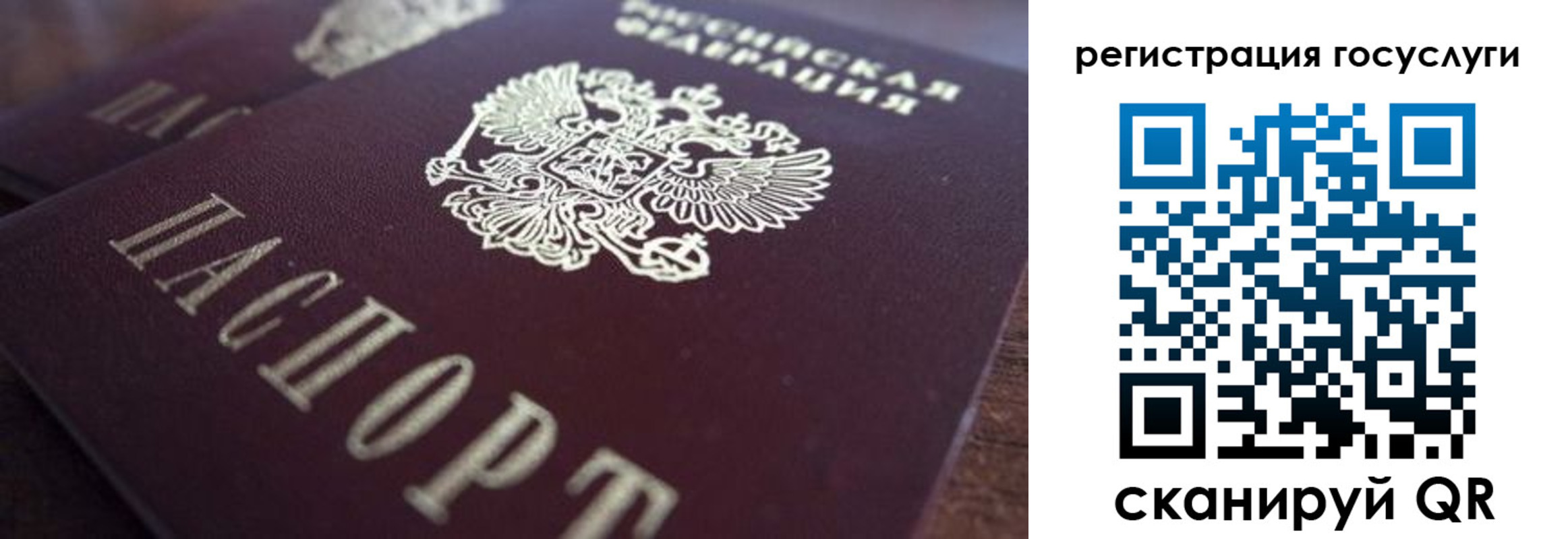 временная регистрация гарантия в Чите